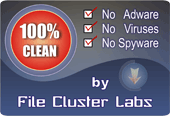 "100 % Clean" Award from File Cluster